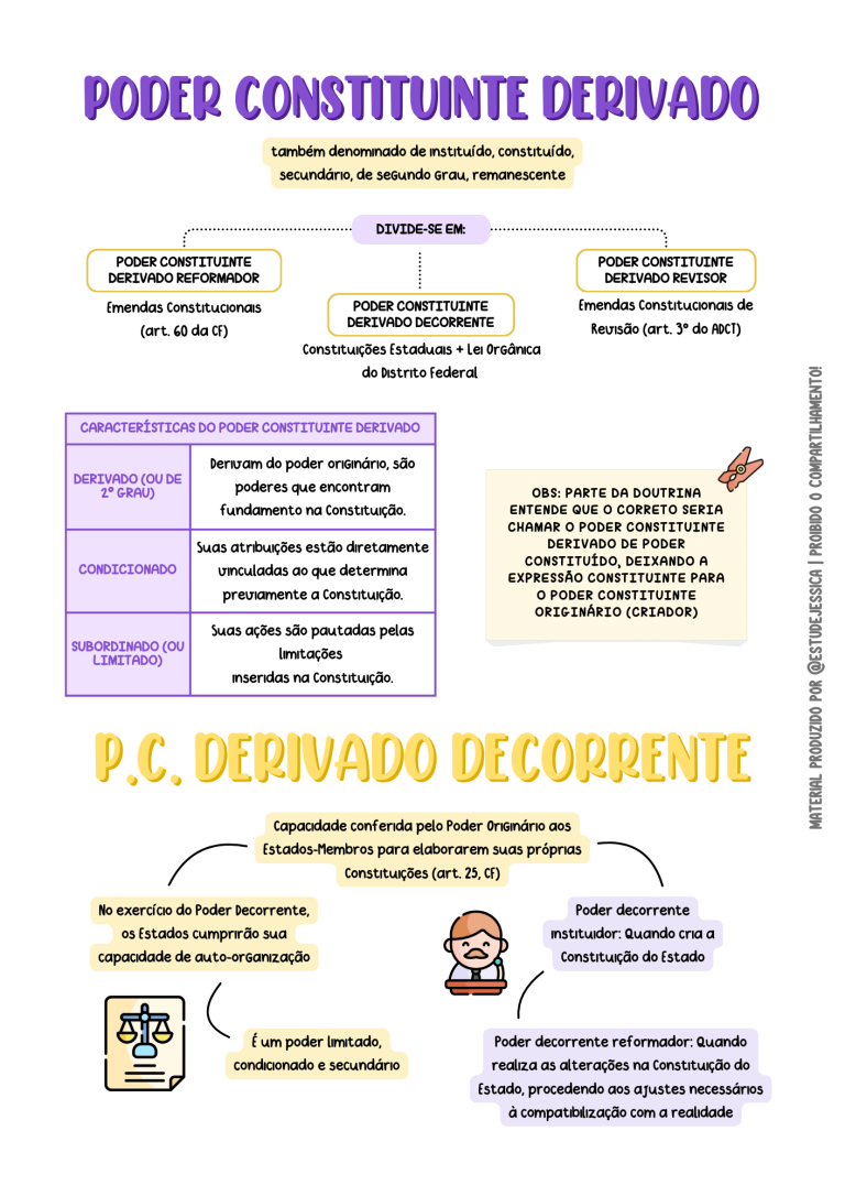 PODER CONSTITUINTE - ESTUDEJESSICA