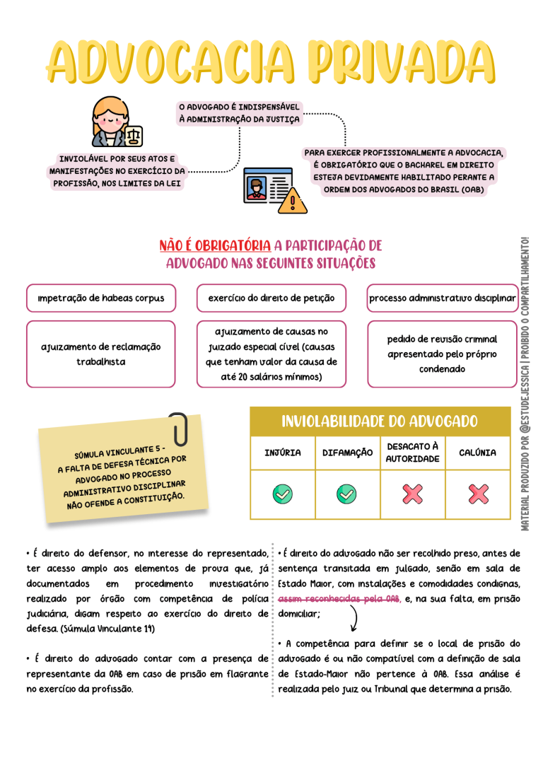 FUNÇÕES ESSENCIAIS A JUSTIÇA - ESTUDEJESSICA (1)
